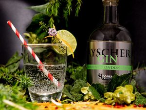 Mehr über den Artikel erfahren NEU: Ayscher Hopfen Gin
